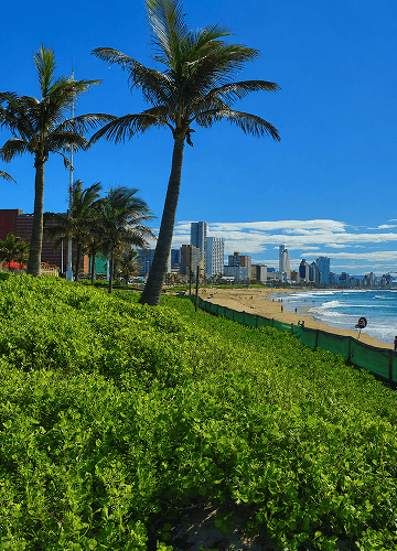 Coastal community view